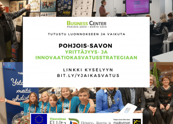 Yrittäjyys- ja innovaatiokasvatus